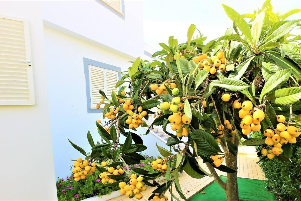 Vila Ventura Marina Albufeira Ngoại thất bức ảnh